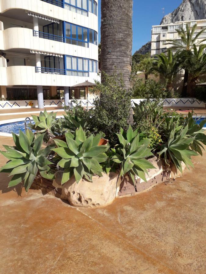 Appartement Equipe Calpe Espagne, 4 Couchages, Terrasse, Piscines, Climatisation, Garage, Wifi Gratuits Екстериор снимка